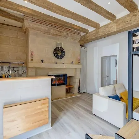 Apartment Au Coeur De Tours