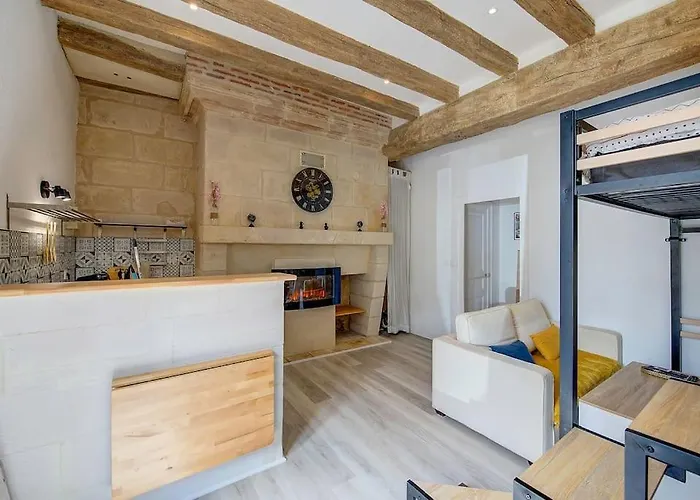 Appartement Au Cœur De Tours